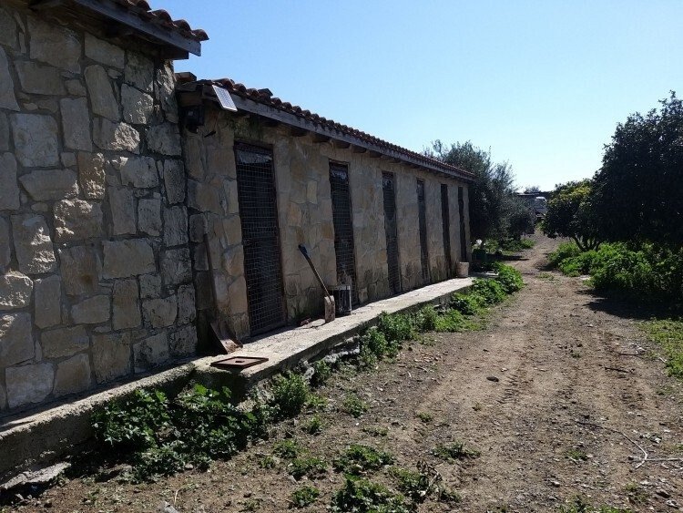 Land in Moni, Limassol, Cyprus 5 - 14403586