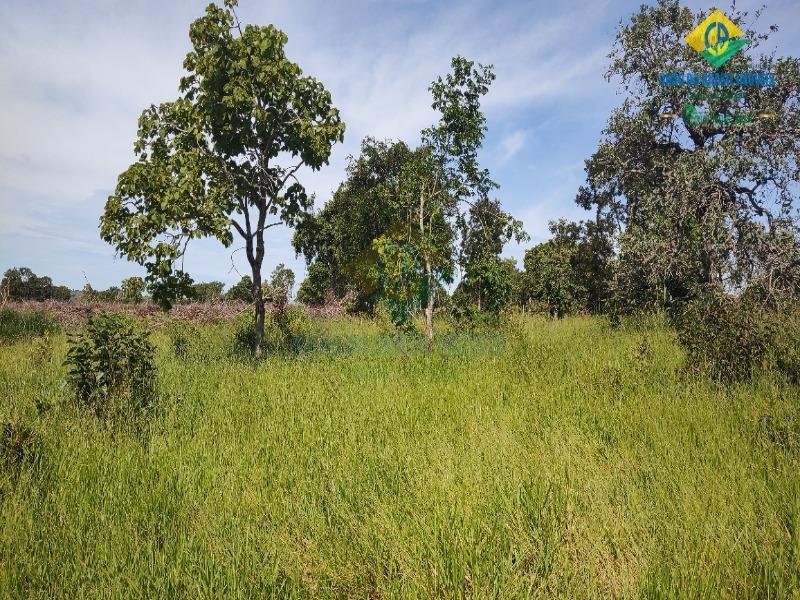 Estate in Rio Negro, State of Paraná, Brazil 1 - 18559973