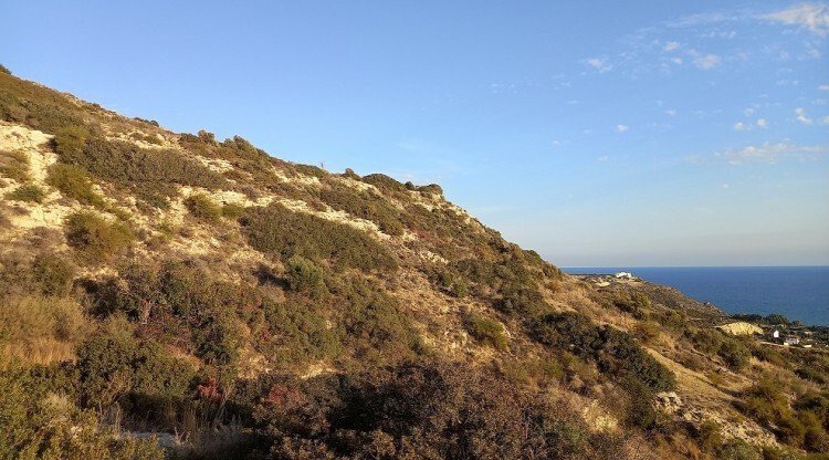 Land in Pissouri, Limassol, Cyprus 5 - 13202452
