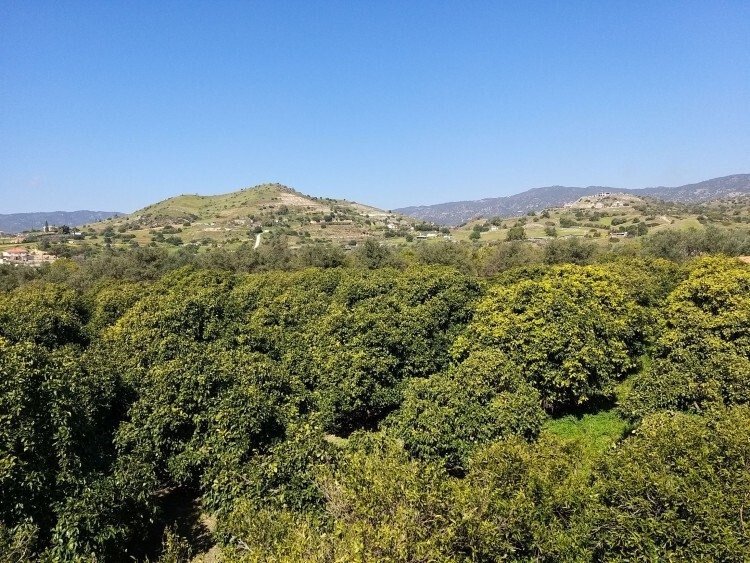 Land in Moni, Limassol, Cyprus 2 - 14403586