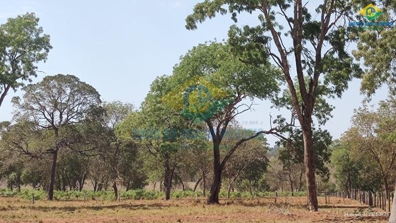 Estate in Conjunto Jose Abrao, State of Mato Grosso do Sul, Brazil 2 - 18559992