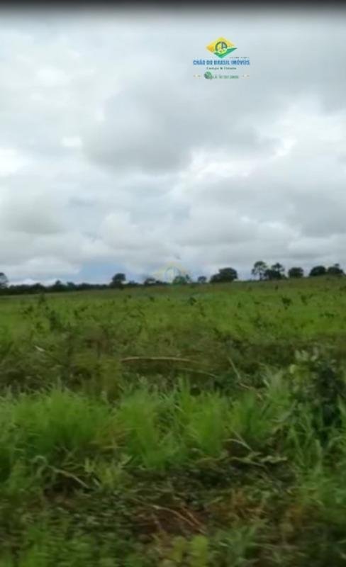 Estate in Rio Verde de Mato Grosso, State of Mato Grosso do Sul, Brazil 4 - 18559967