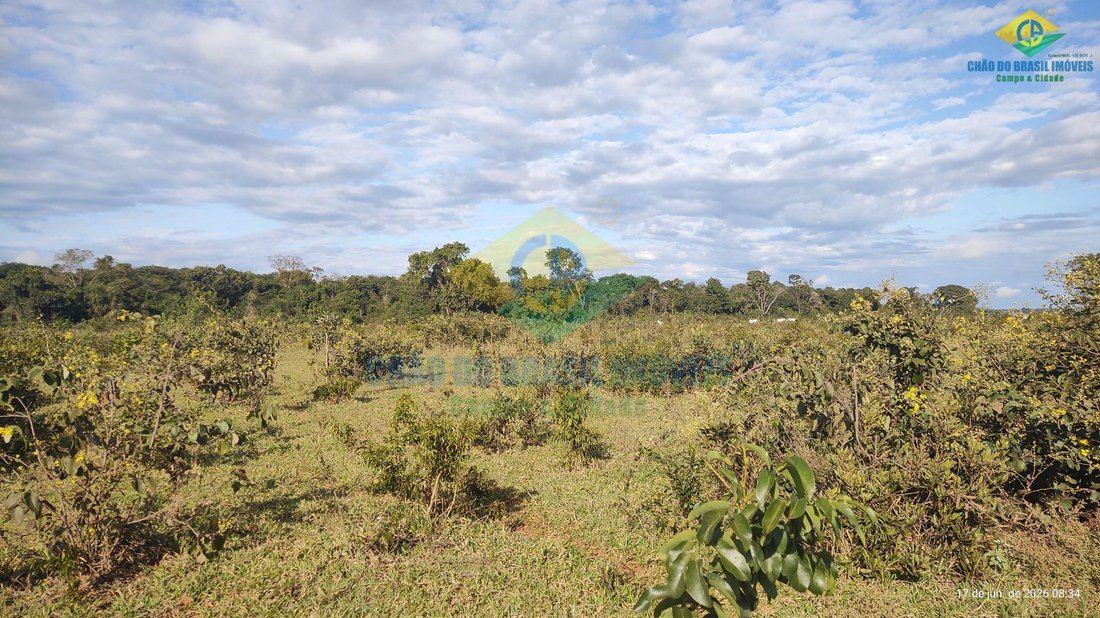 Estate in Campo Grande, State of Mato Grosso do Sul, Brazil 3 - 18566892