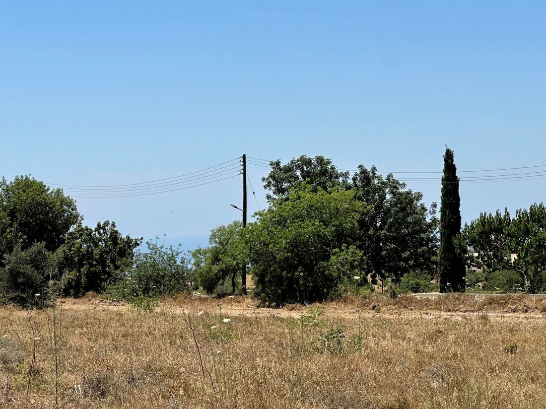 Land in Mesogi, Paphos, Cyprus 1 - 14404190