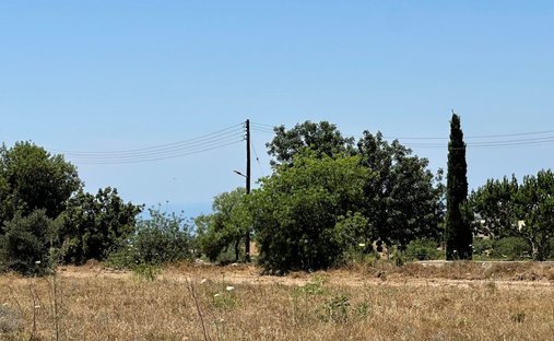 Terrain à Mesogi, Paphos, Chypre 1