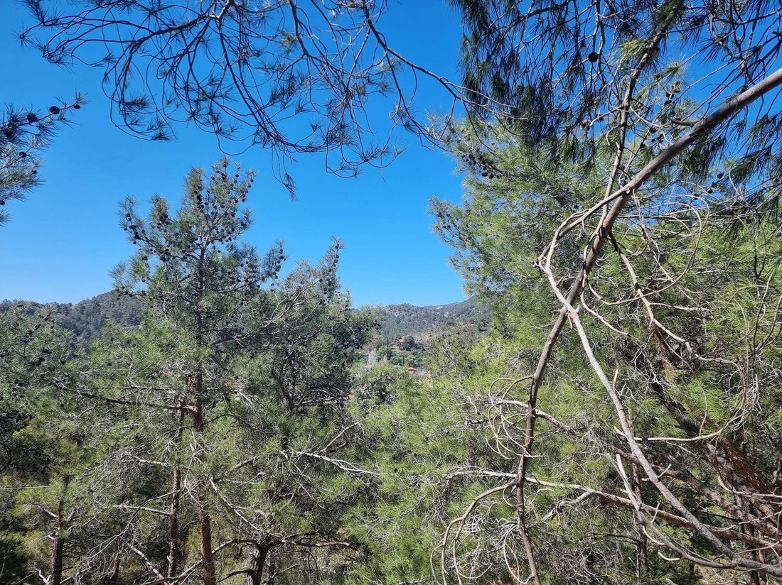 Terrain à Moniátis, Limassol, Chypre 5 - 13990694