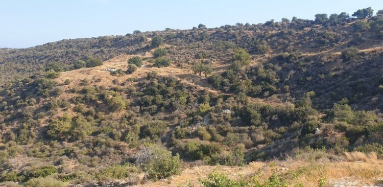 Land in Pissouri, Limassol, Cyprus 4 - 13202417