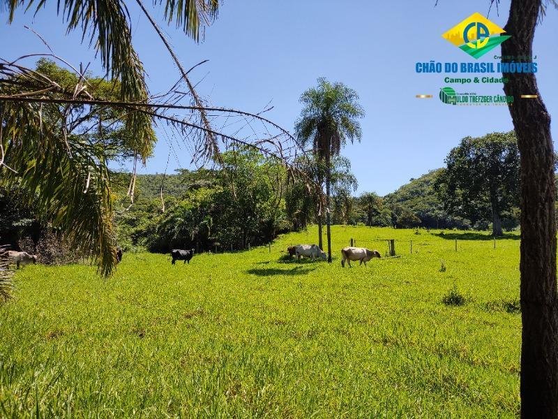 Estate in Campo Grande, State of Mato Grosso do Sul, Brazil 2 - 18559953