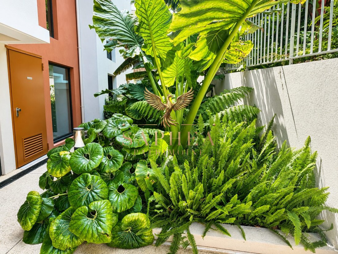 Apartment in Les Cougoulins-Rastines, Antibes, France 3 - 18564421