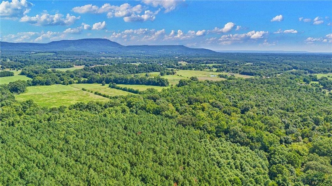 Dardanelle, Arkansas, United States 1 - 18561658