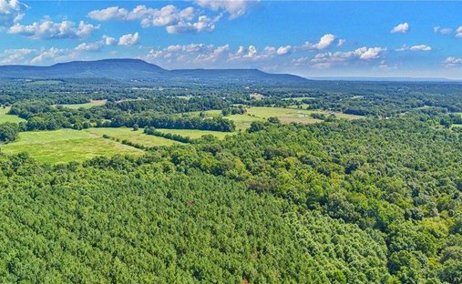 Dardanelle, Arkansas, United States 1
