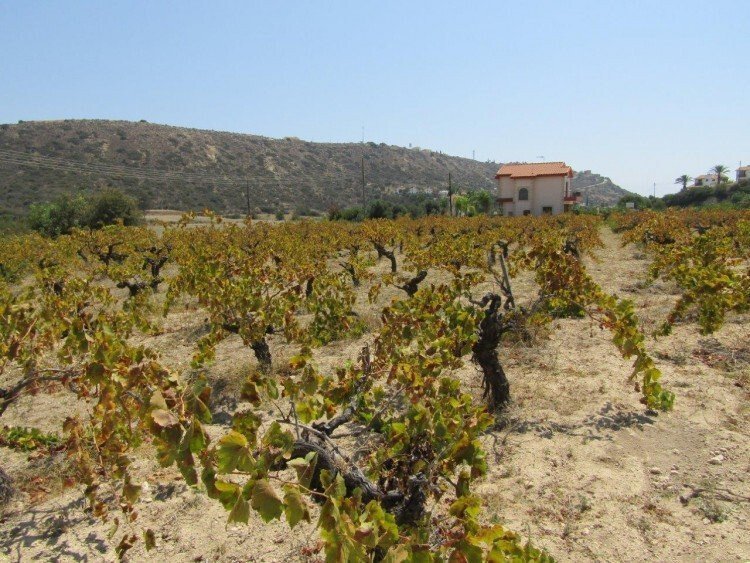 Land in Pissouri, Limassol, Cyprus 2 - 13202316