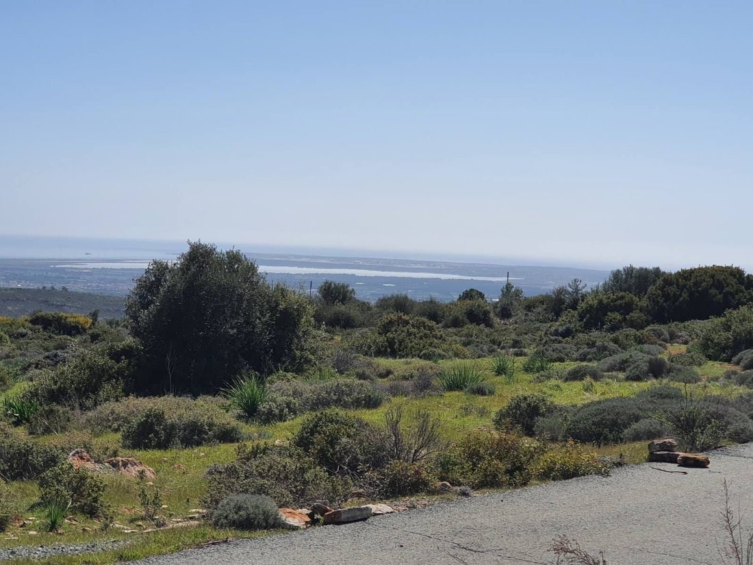 Land in Souni-Zanakia, Limassol, Cyprus 1 - 13202345