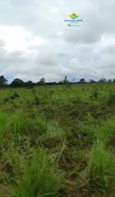 Estate in Rio Verde de Mato Grosso, State of Mato Grosso do Sul, Brazil 5 - 18559967