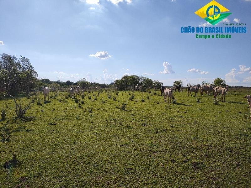 Estate in Zona Rural, State of Mato Grosso do Sul, Brazil 5 - 18559956