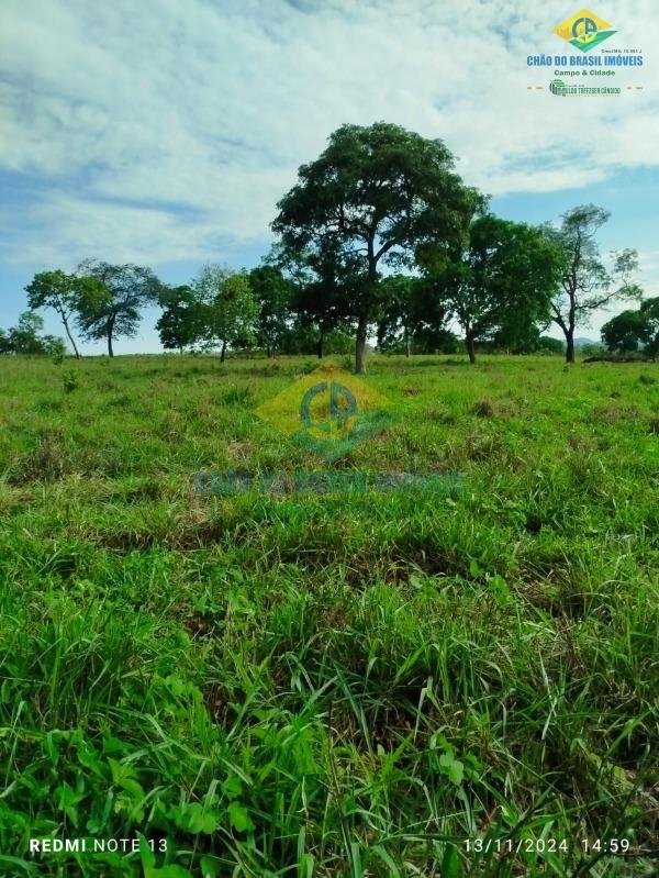Tenuta a São Gabriel do Oeste, Mato Grosso del Sul, Brasile 3 - 18559982