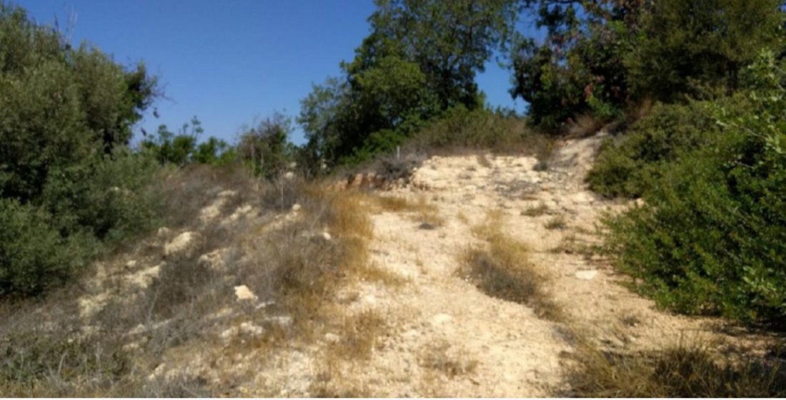 Land in Tala, Paphos, Cyprus 2 - 13202623