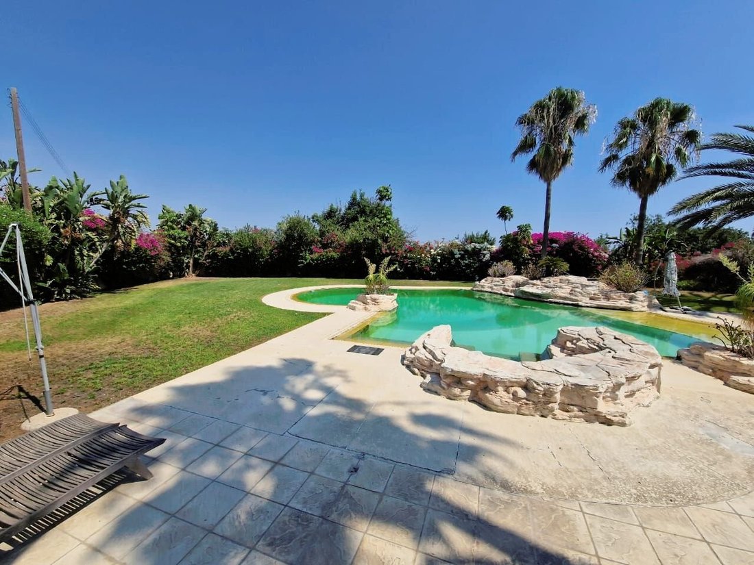 Villa in Pareklisia, Limassol, Cyprus 5 - 14615029