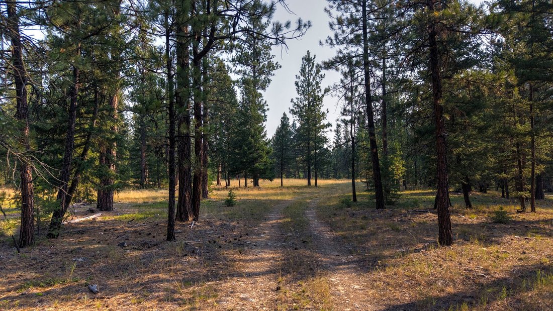 Land in Darby, Montana, United States 3 - 18566333