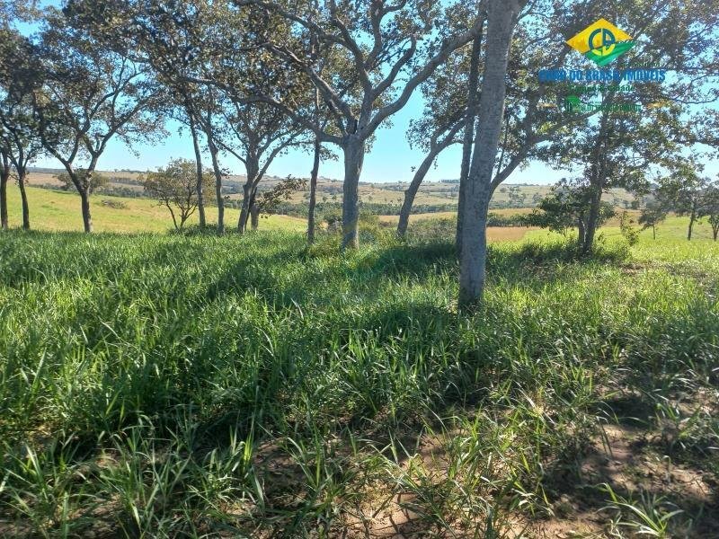 Estate in Camapuã, State of Mato Grosso do Sul, Brazil 1 - 18559980