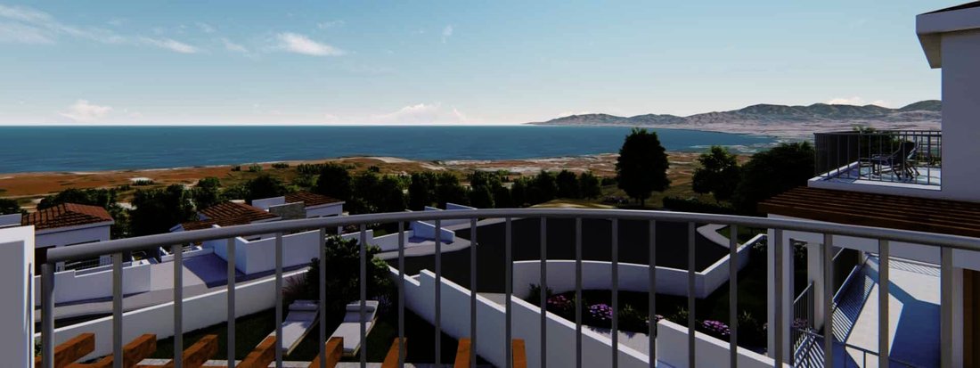 House in Neo Chorio, Paphos, Cyprus 4 - 13005120