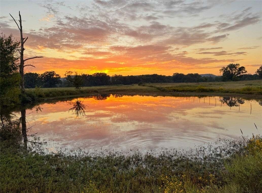 Dardanelle, Arkansas, United States 2 - 18561658