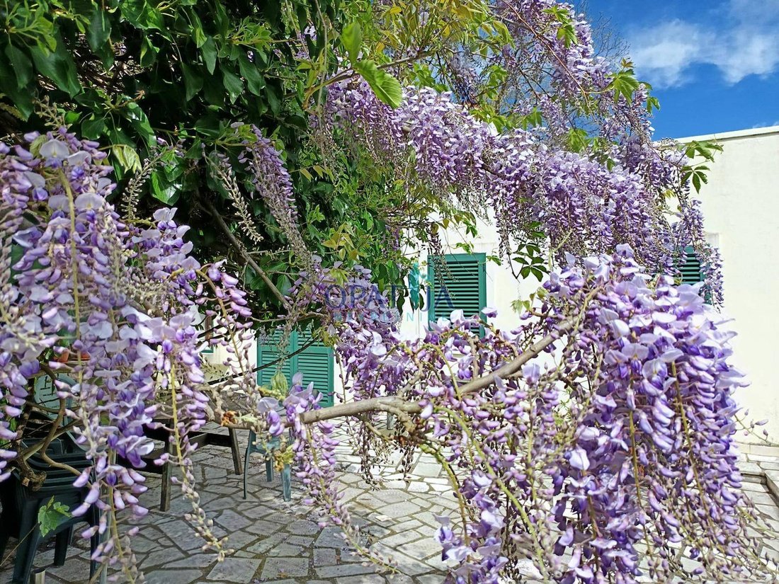 House in Opcina Matulji, Primorje-Gorski Kotar County, Croatia 4 - 18560347