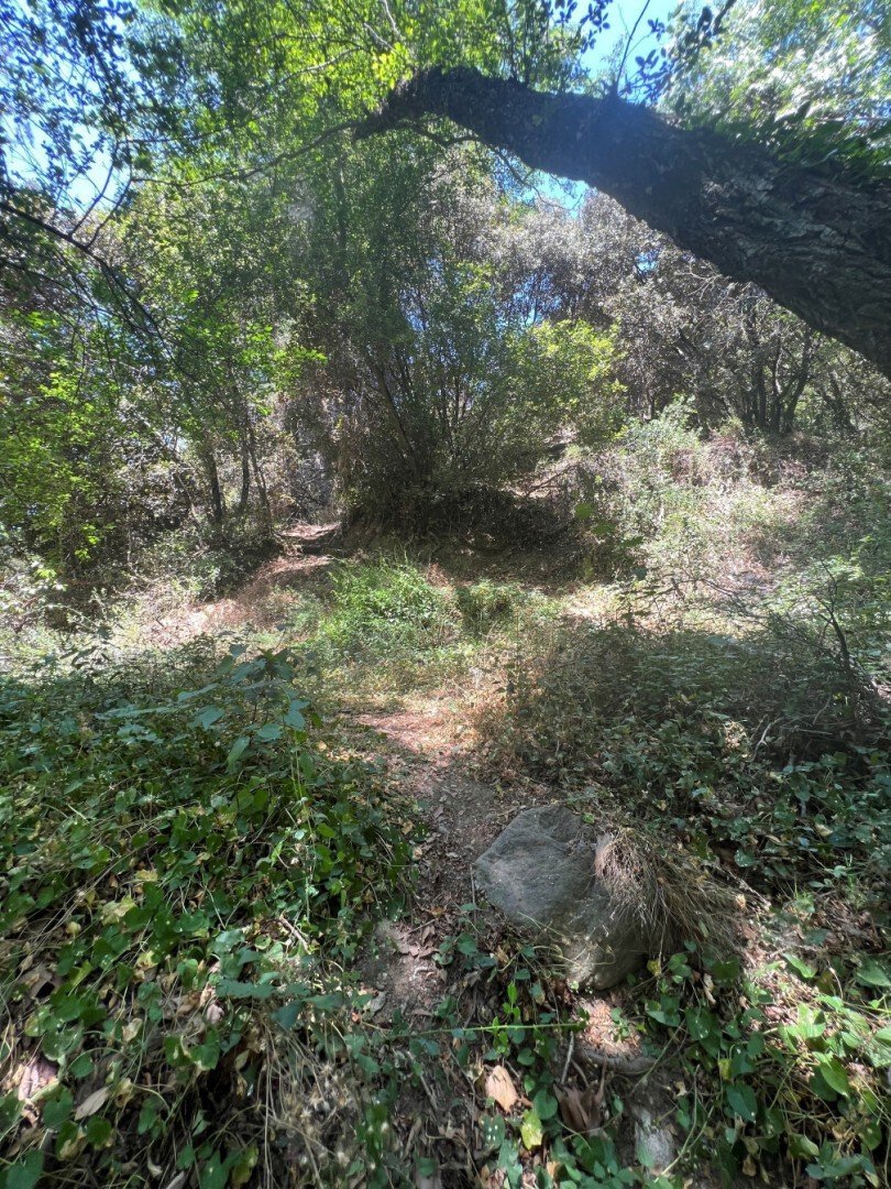 Land in Pano Platres, Limassol, Cyprus 5 - 13202709