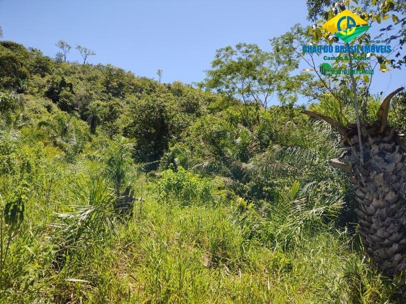 Estate in Campo Grande, State of Mato Grosso do Sul, Brazil 5 - 18559953