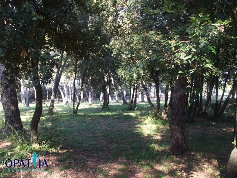 Land in Rovinj, Istria County, Croatia 3 - 18560707