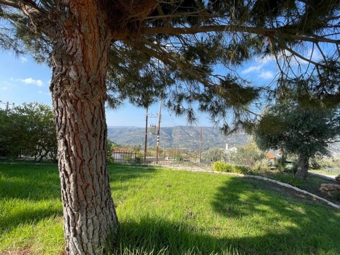 Bungalow in Laneia, Limassol, Cyprus 2 - 13015881