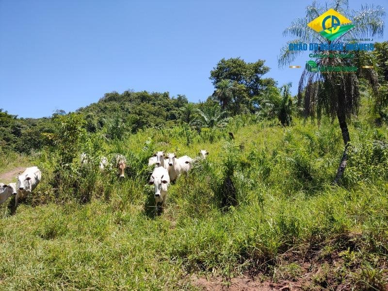 Estate in Campo Grande, State of Mato Grosso do Sul, Brazil 3 - 18559953