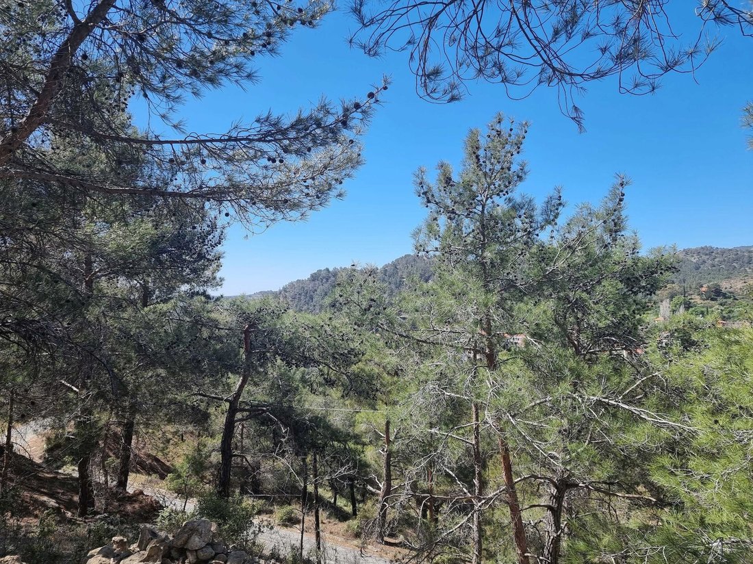 Land in Moniatis, Limassol, Cyprus 4 - 14062569
