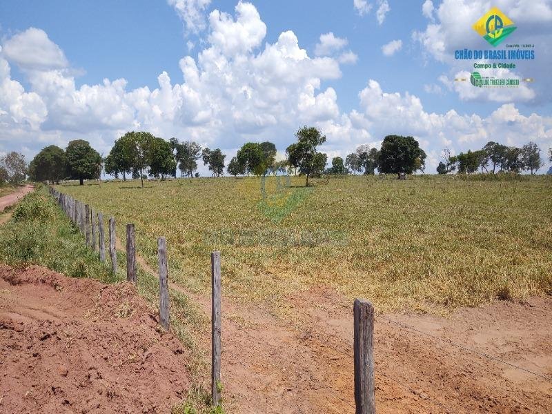 Estate in Vila Cidade Nova, State of Mato Grosso do Sul, Brazil 5 - 18559959