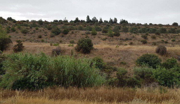 Land in Pareklisia, Limassol, Cyprus 2 - 14403427