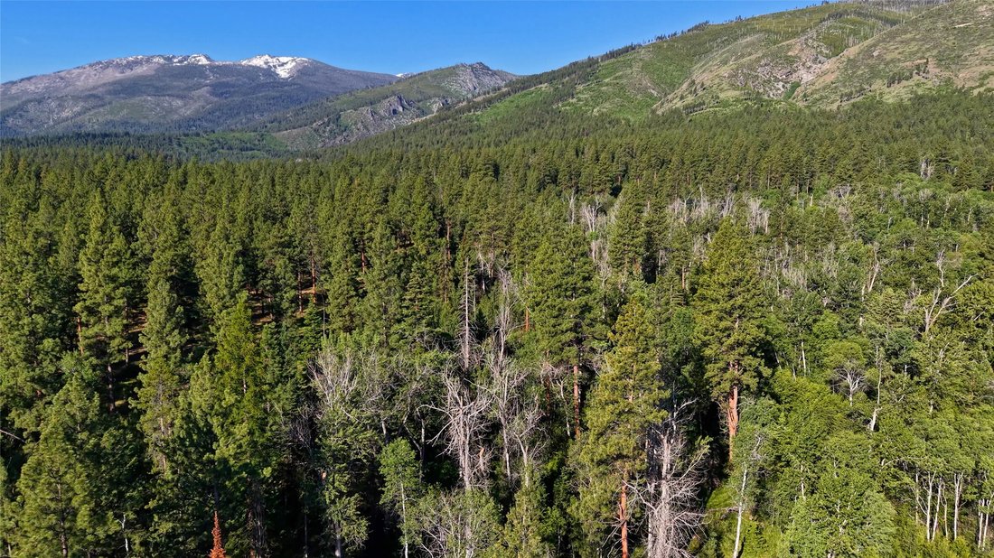 Land in Hamilton, Montana, United States 3 - 18566339