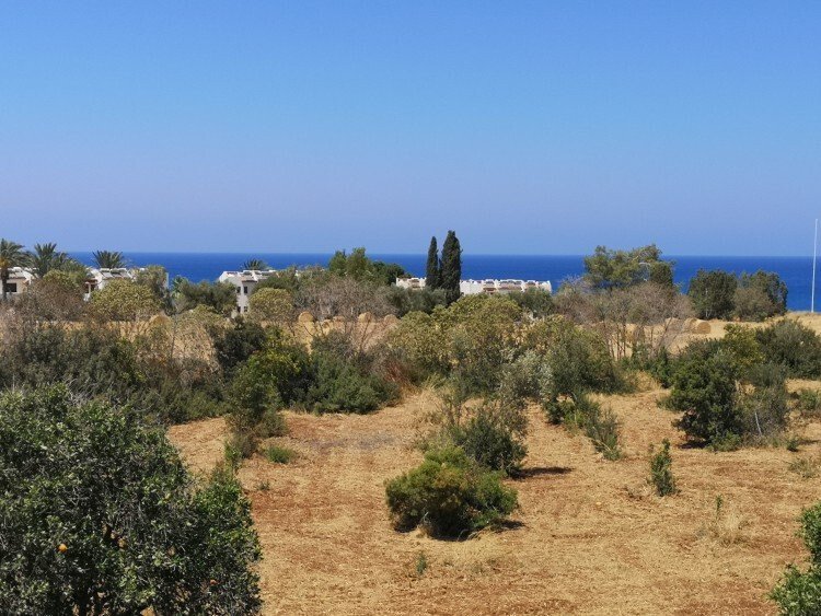 House in Poli Crysochous, Paphos, Cyprus 1 - 13005027
