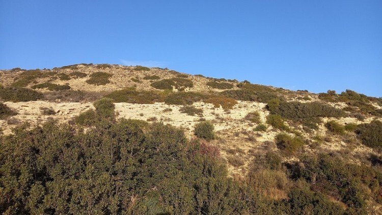 Land in Pissouri, Limassol, Cyprus 4 - 13202452