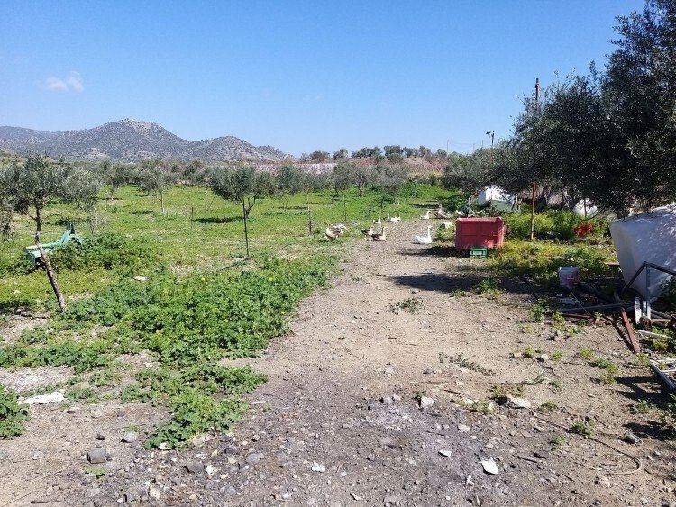 Land in Moni, Limassol, Cyprus 3 - 14403586