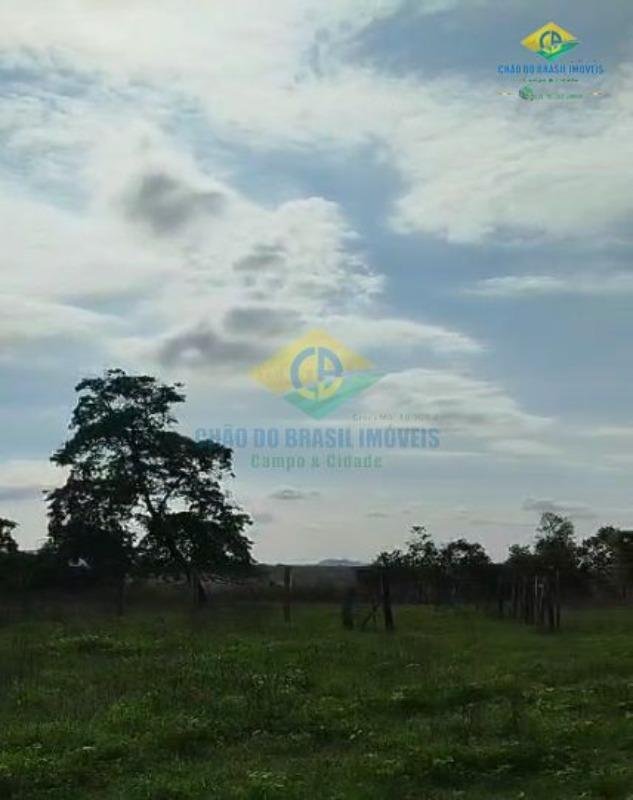 Tenuta a São Gabriel do Oeste, Mato Grosso del Sul, Brasile 5 - 18559982