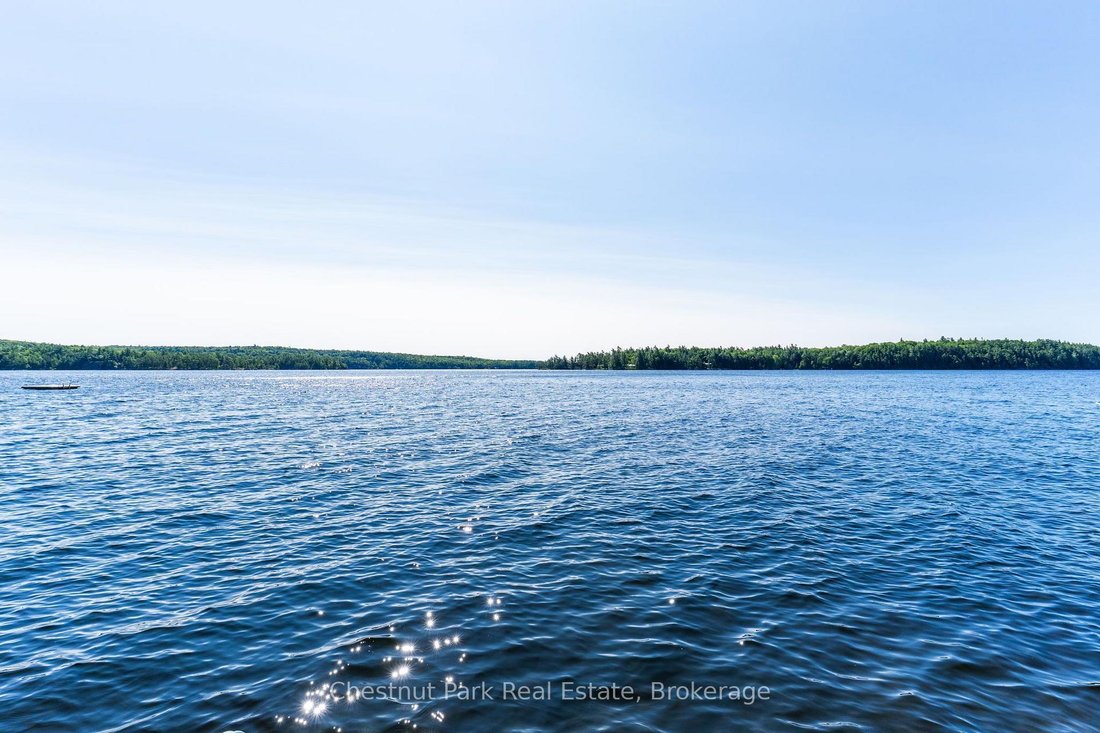 House in Muskoka Lakes, Ontario, Canada 2 - 18507670
