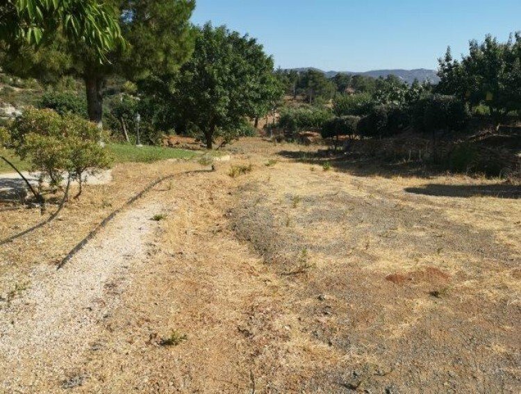 Land in Asgata, Limassol, Cyprus 5 - 13202350