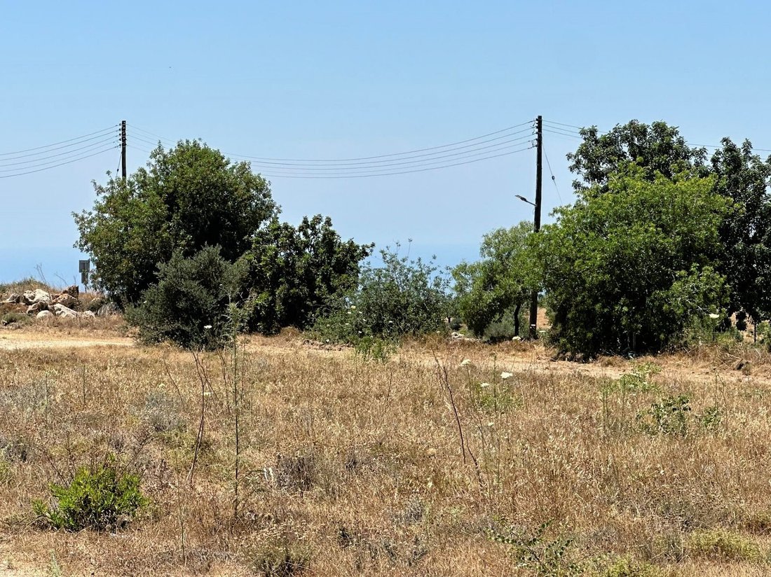 Land in Mesogi, Paphos, Cyprus 4 - 14404190