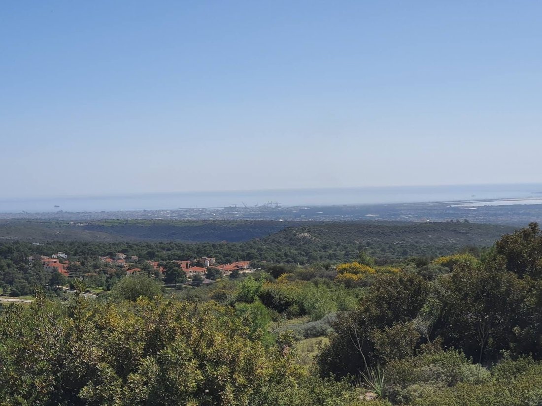 Land in Souni-Zanakia, Limassol, Cyprus 3 - 13202345
