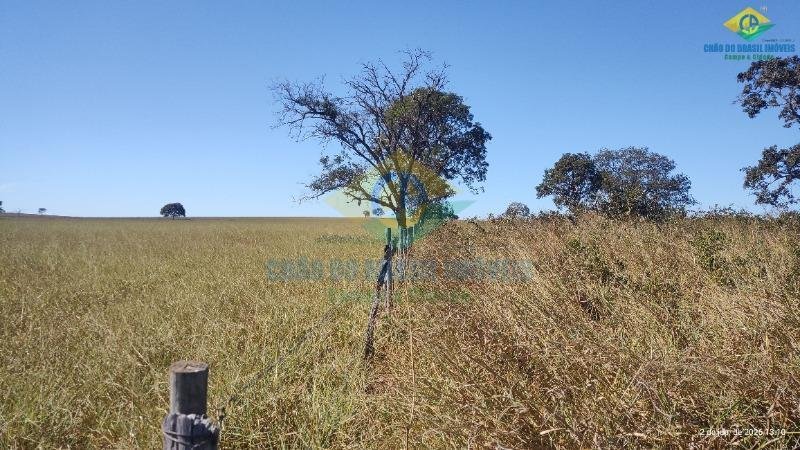 Estate in Camapuã, State of Mato Grosso do Sul, Brazil 1 - 18559999