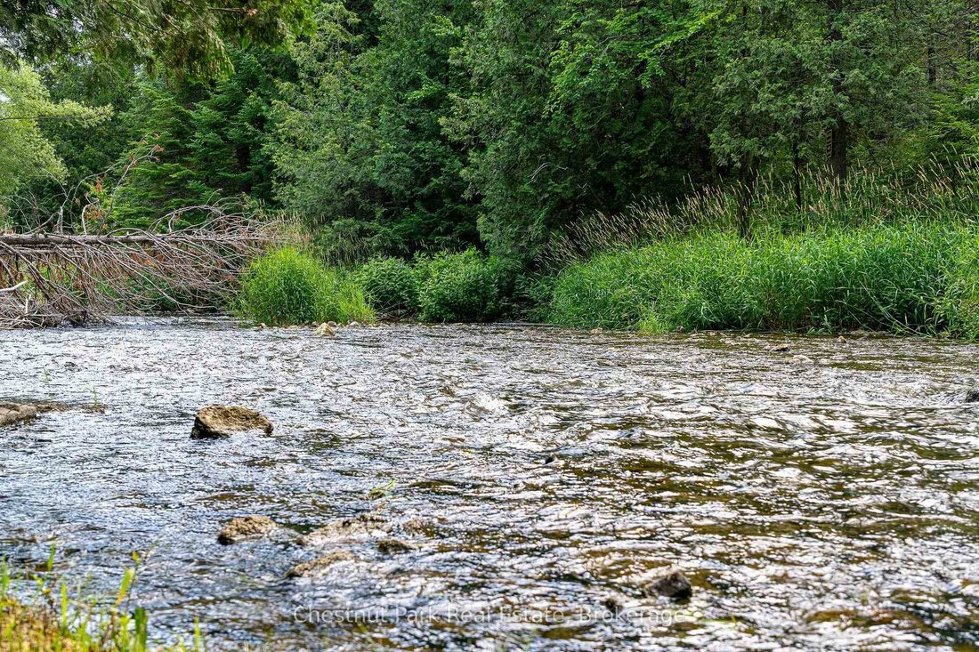 Land in Clearview, Ontario, Canada 5 - 18566273
