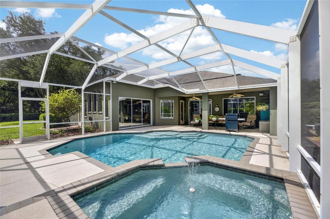 House in Odessa, Florida, United States 5 - 18499762