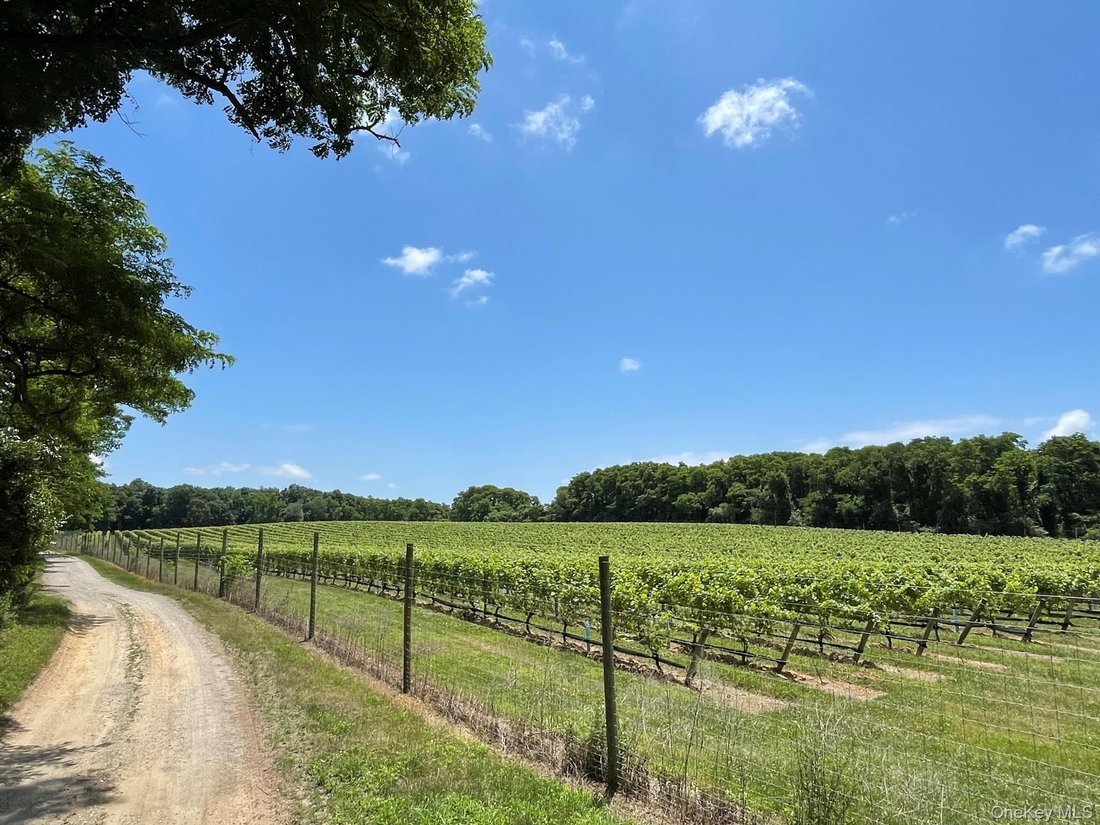 Land in Peconic, New York, United States 4 - 18572793