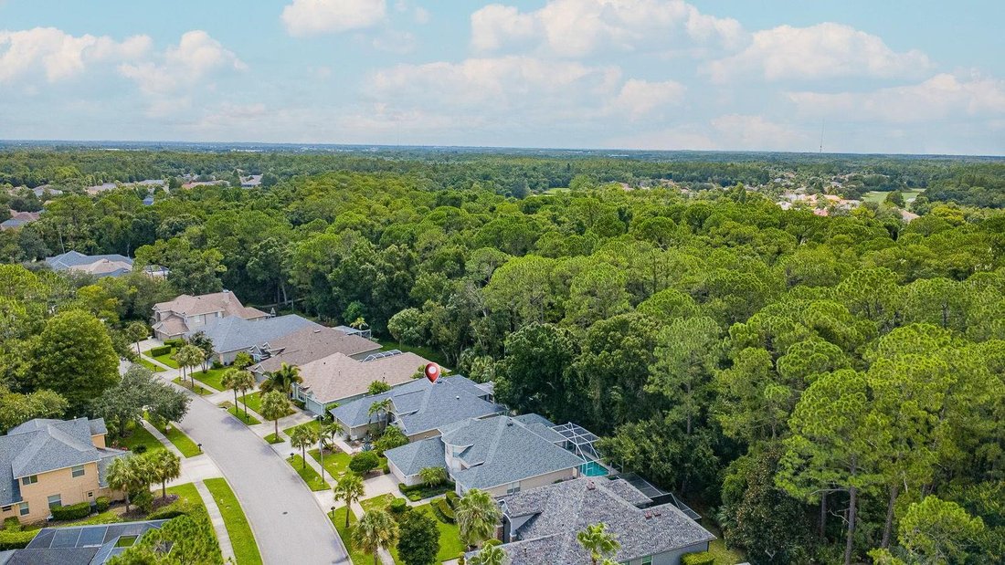House in Tampa, Florida, United States 5 - 18571384