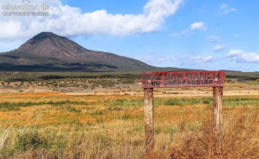 Azienda agricola a Cortez, Colorado, Stati Uniti 1